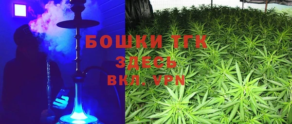 спиды Аркадак