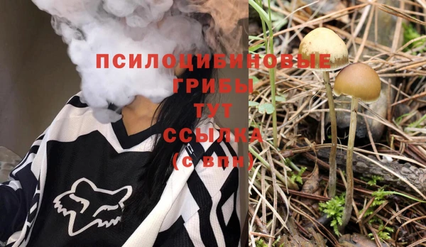 мдпв Новодвинск
