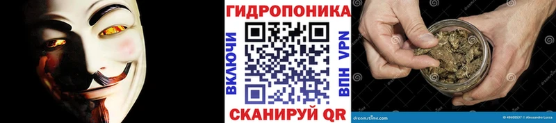 Шишки марихуана гибрид  дарнет шоп  Тейково 